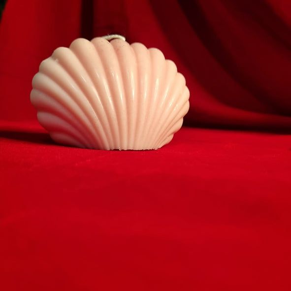 Shell Candle